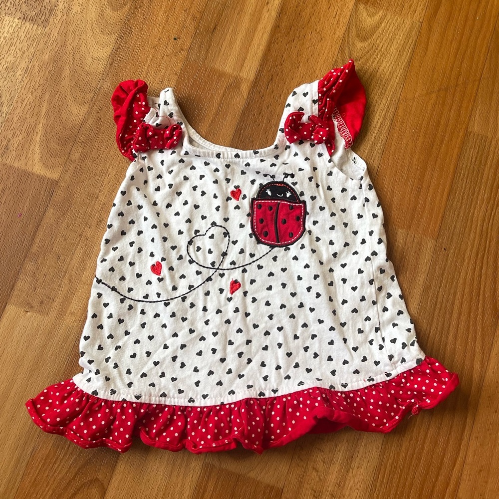 Adorable 24M lady bug shirt